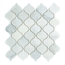 MARBLE - 2.4X2.91/12X12 WINTER FROST, WINTER FROST, POLISHED